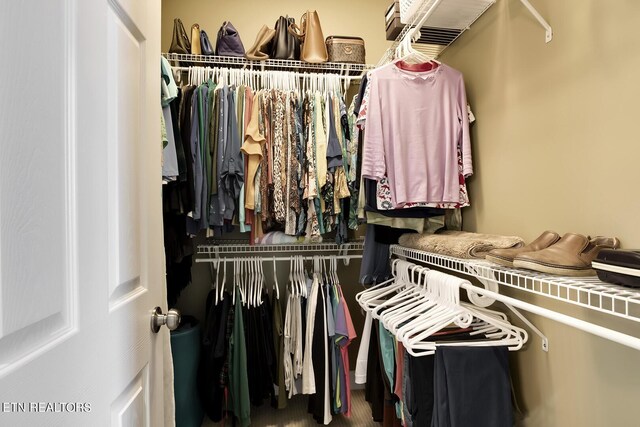 view of spacious closet