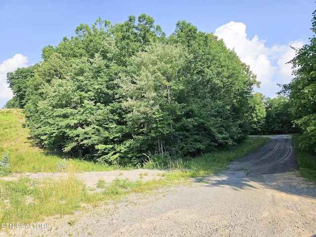 Street Place Loop, Monterey, TN 38574 - photo 4
