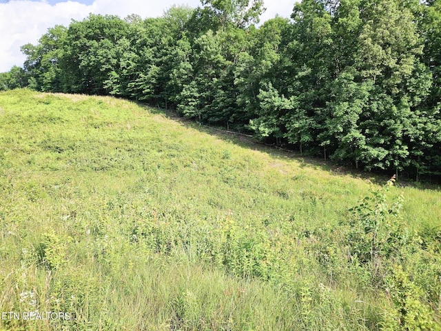 Street Place Loop, Monterey, TN 38574 - photo 5