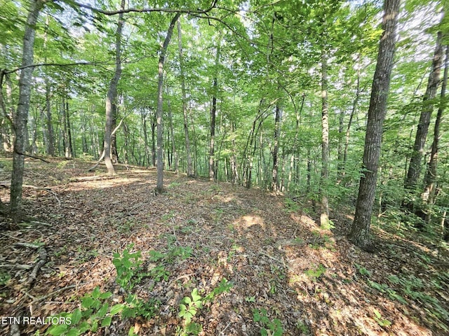 Street Place Loop, Monterey, TN 38574 - photo 6