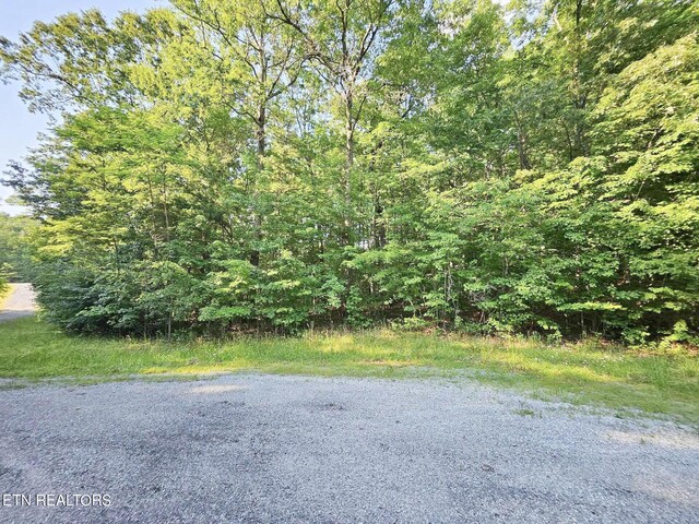 Street Place Loop, Monterey, TN 38574 - photo 7