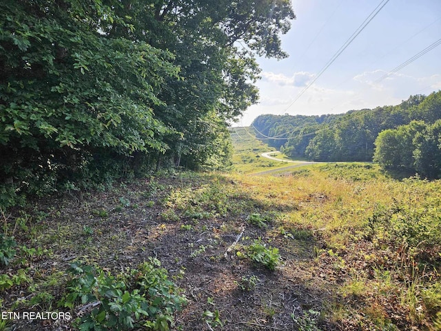 Street Place Loop, Monterey, TN 38574 - photo 9