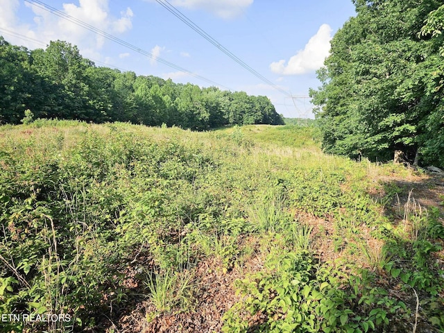 Street Place Loop, Monterey, TN 38574 - photo 10