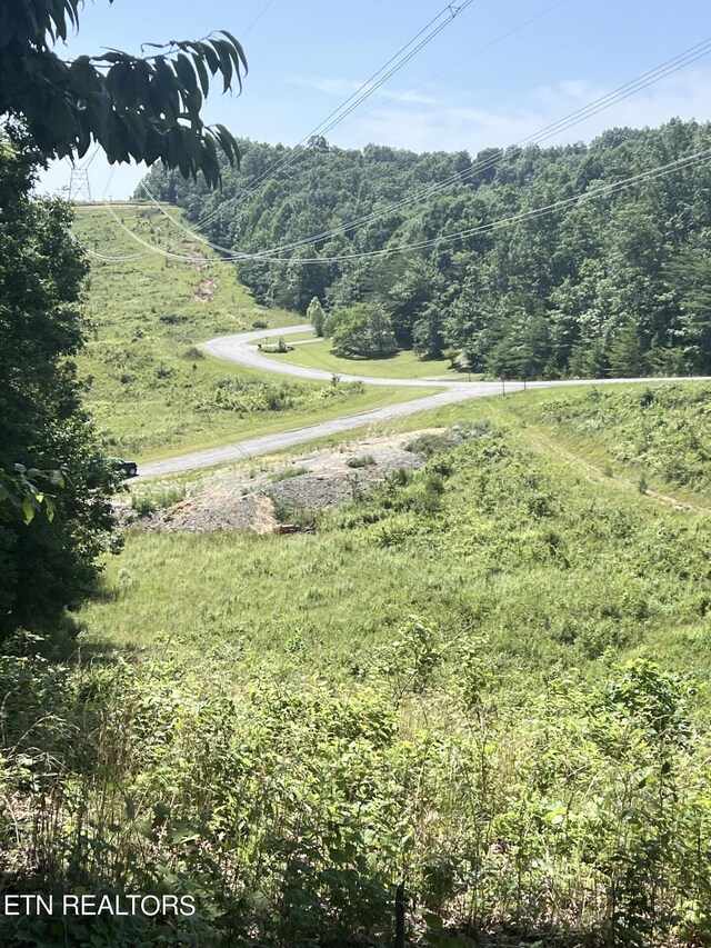Street Place Loop, Monterey, TN 38574 - photo 11
