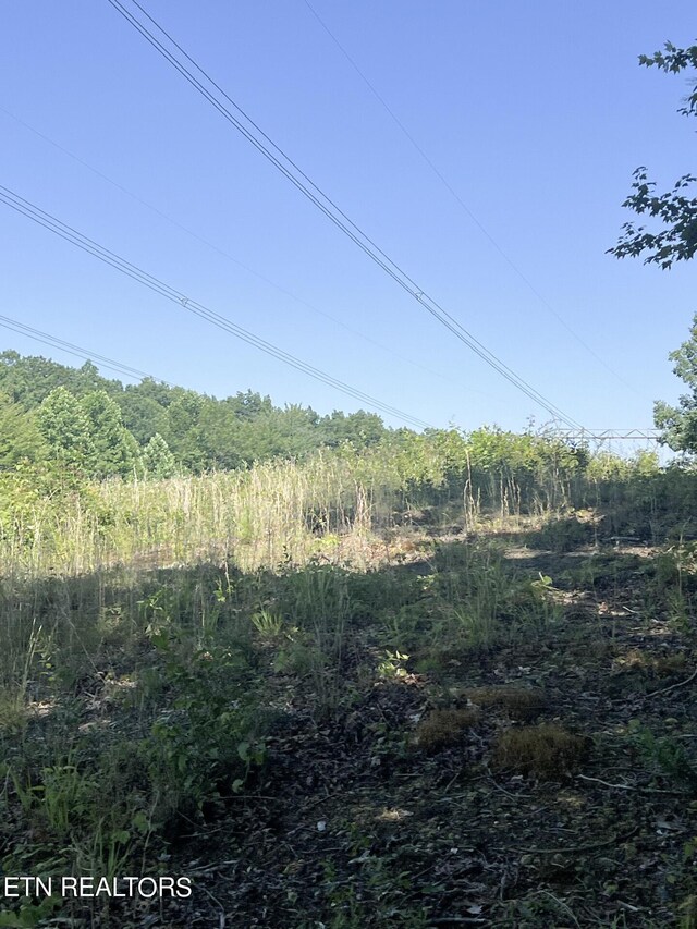 Street Place Loop, Monterey, TN 38574 - photo 12