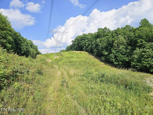 Street Place Loop, Monterey, TN 38574 - photo 13