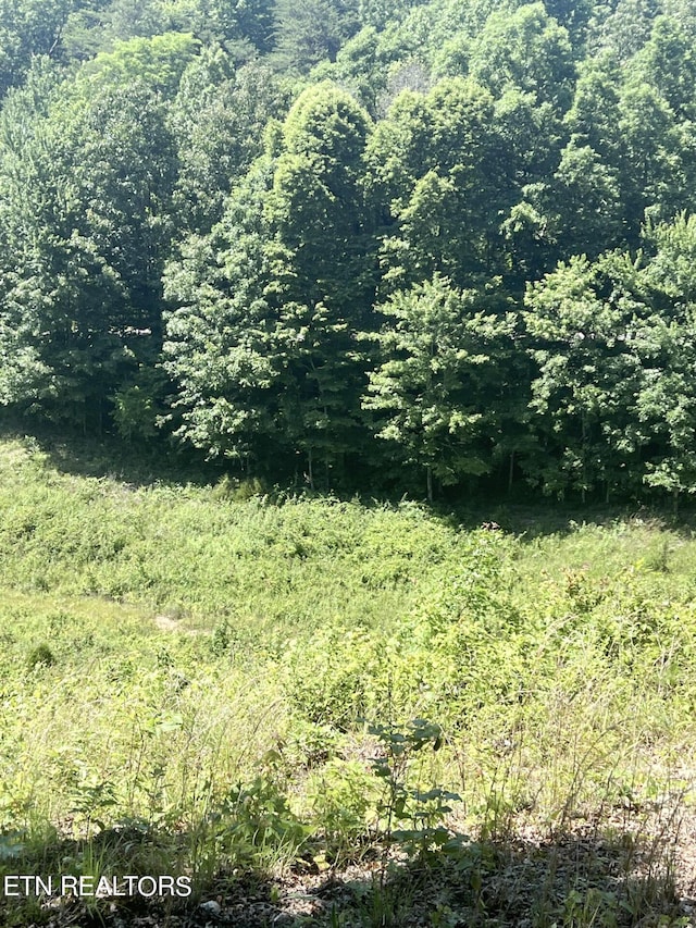 Street Place Loop, Monterey, TN 38574 - photo 14