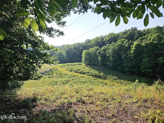 Street Place Loop, Monterey, TN 38574 - photo 15