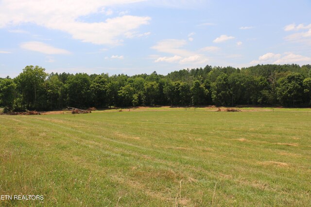 LOT13 County Road 461, Englewood, TN 37329 - photo 3