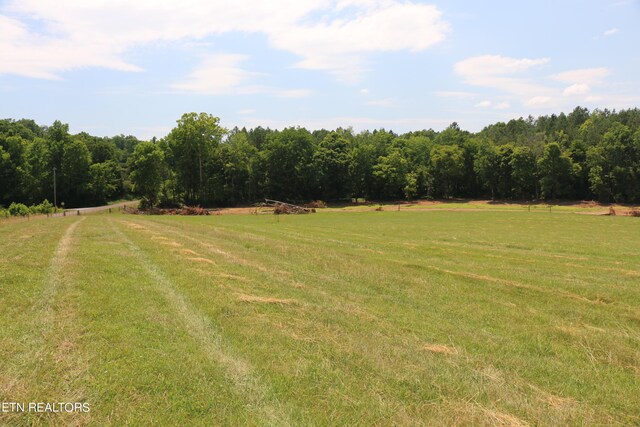LOT13 County Road 461, Englewood, TN 37329 - photo 4