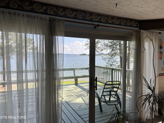 doorway to outside with plenty of natural light, a water view, and a textured ceiling