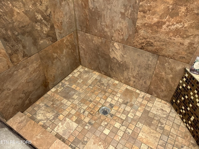 interior details with walk in shower