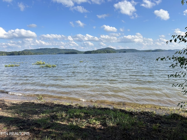 water view featuring a mountain view