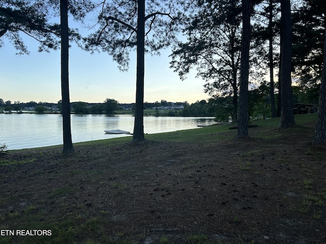 property view of water