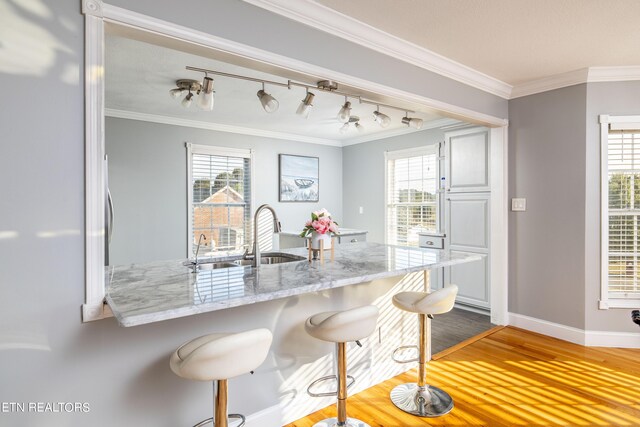 kitchen featuring sink, crown molding, and light hardwood / wood-style flooring