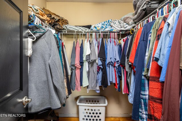 walk in closet featuring hardwood / wood-style flooring