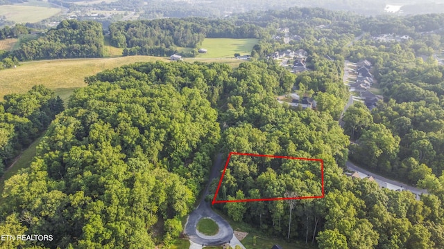 130 Nuhya Way, Loudon, TN 37774 - photo 1