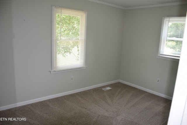 unfurnished room featuring carpet flooring and crown molding