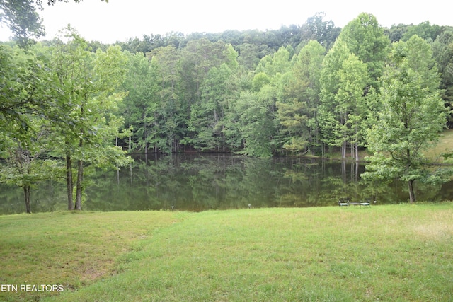 view of yard with a water view