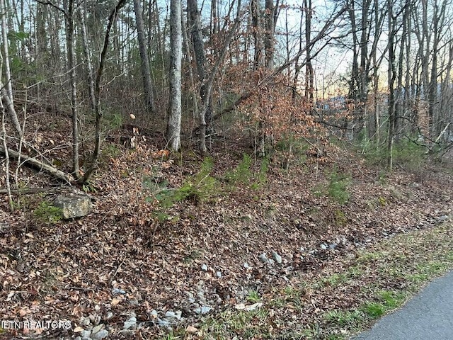 LOT34 Alpine Dr, Sevierville TN, 37876 land for sale