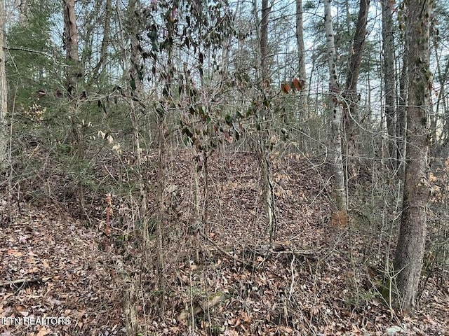 Listing photo 2 for LOT34 Alpine Dr, Sevierville TN 37876