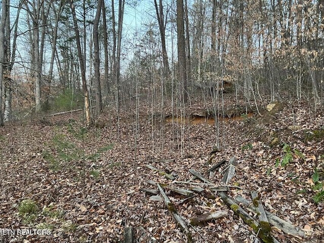 Listing photo 3 for LOT34 Alpine Dr, Sevierville TN 37876