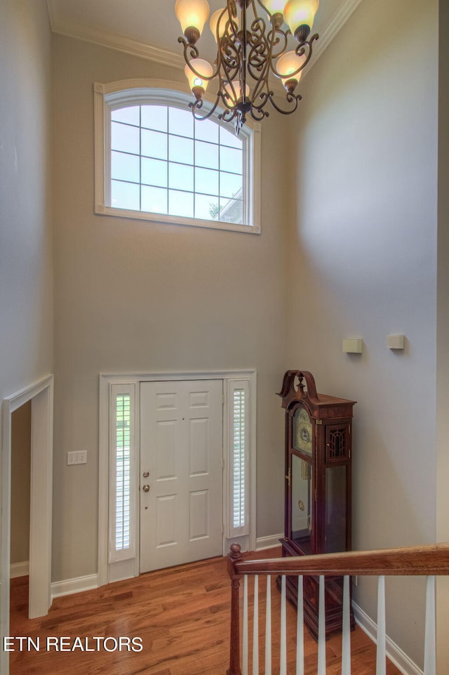 foyer entrance featuring crown molding, a healthy amount of sunlight, wood-type flooring, and a high ceiling