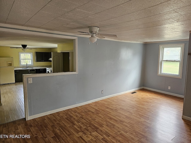 spare room with ceiling fan, light wood-type flooring, and sink