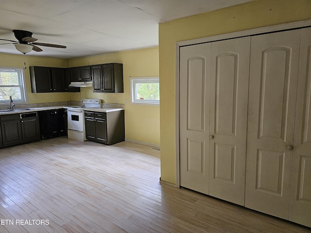 kitchen with ceiling fan, a healthy amount of sunlight, white range with electric cooktop, and sink