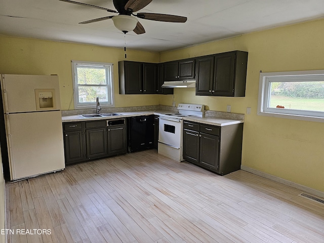 kitchen featuring light wood-type flooring, ceiling fan, sink, and white appliances