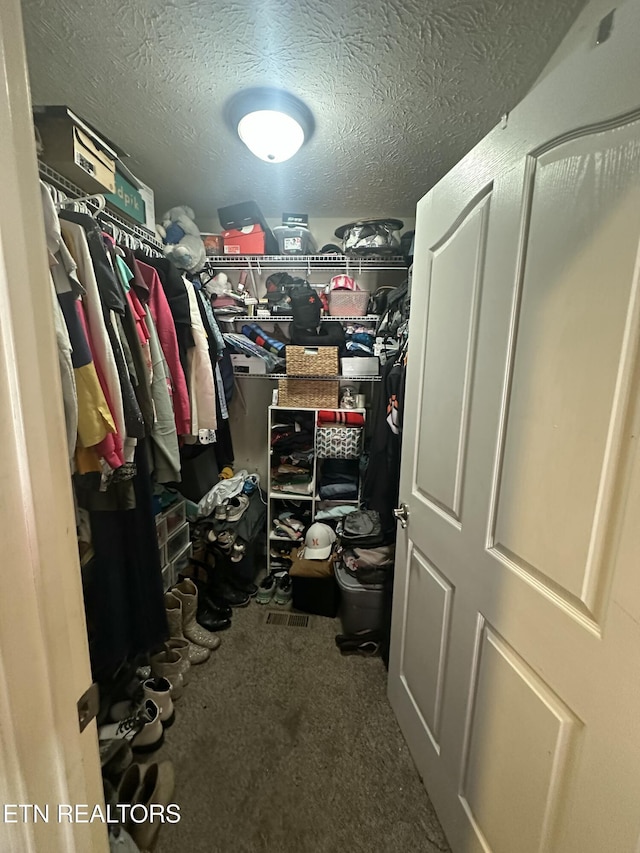 spacious closet featuring carpet floors