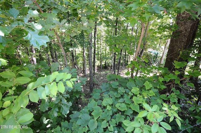 Wolfe Run Ln, Caryville TN, 37714 land for sale