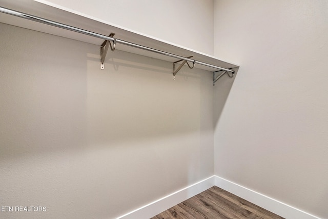 spacious closet with wood-type flooring