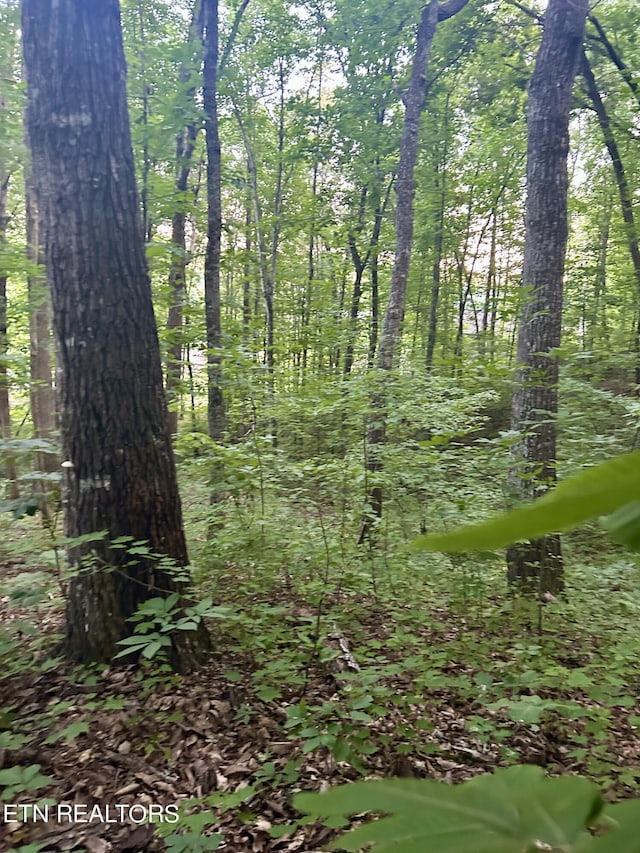 Listing photo 3 for LOT41-R1 Bobbie Jean Ln, Seymour TN 37865