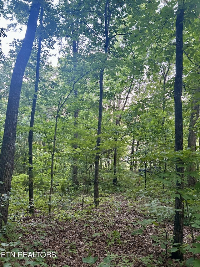 Listing photo 2 for LOT41-R1 Bobbie Jean Ln, Seymour TN 37865