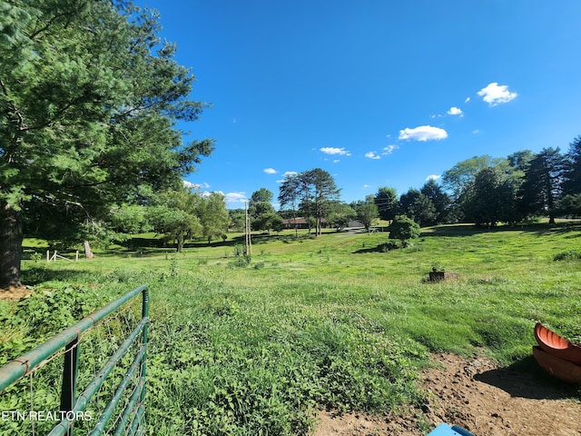 view of yard with a rural view