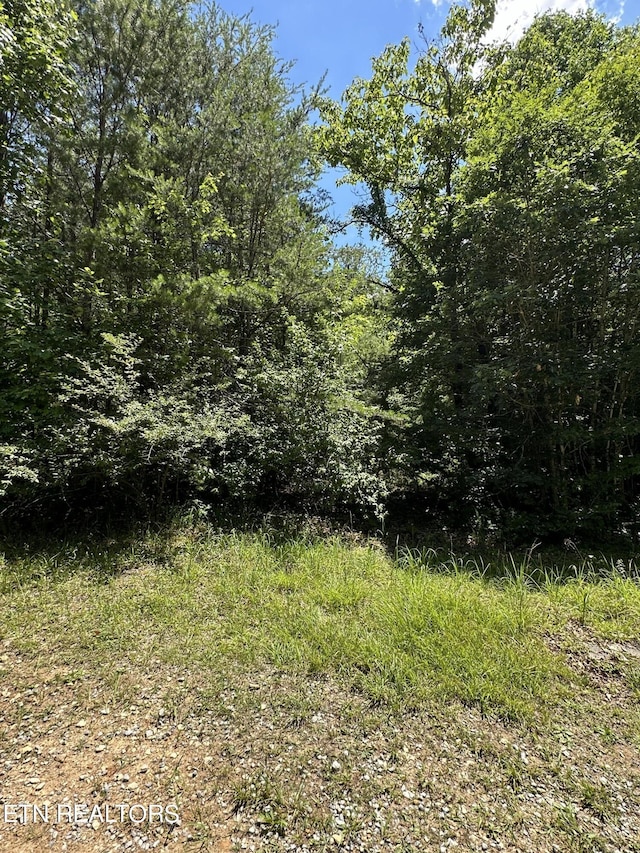 Bear Rd, Tallassee TN, 37878 land for sale