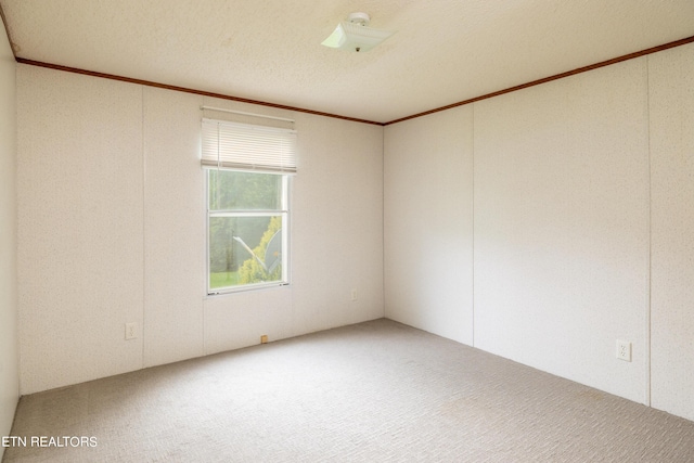 carpeted spare room featuring a textured ceiling