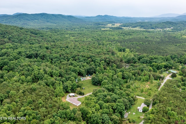 drone / aerial view with a mountain view