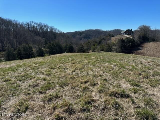 Listing photo 2 for 000 Knob Creek Rd, Bybee TN 37713