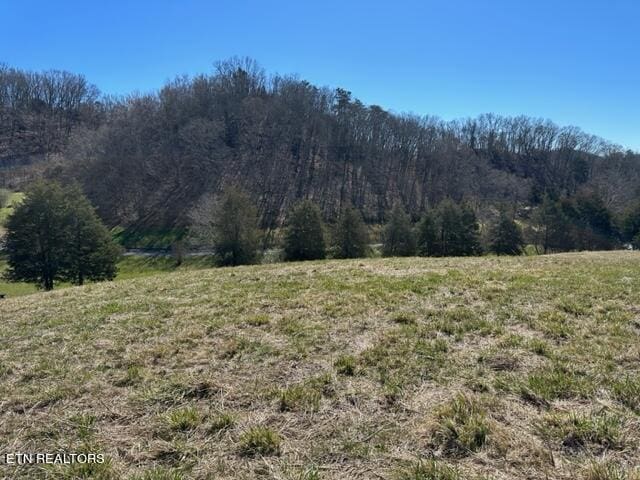 Listing photo 3 for 000 Knob Creek Rd, Bybee TN 37713