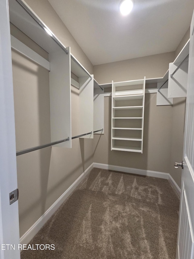 walk in closet with carpet