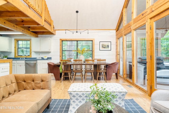 living room with a healthy amount of sunlight, wooden walls, and light hardwood / wood-style floors