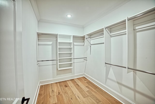 walk in closet with hardwood / wood-style floors