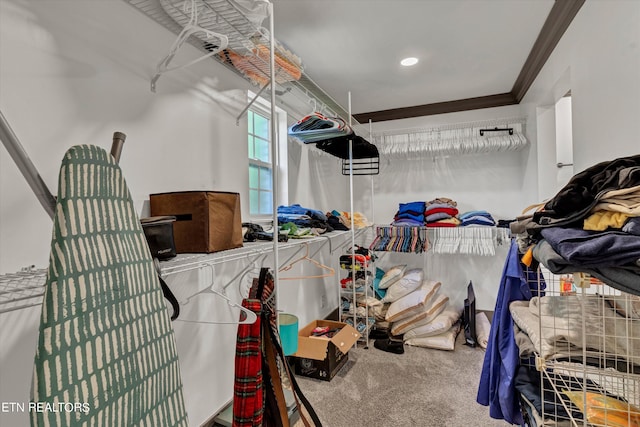 walk in closet featuring carpet flooring