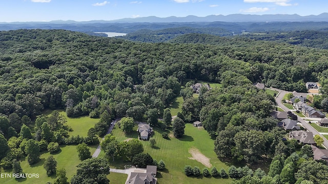 bird's eye view featuring a mountain view and a view of trees