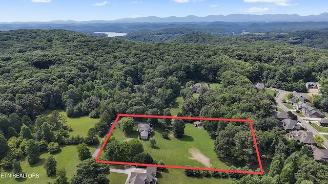 bird's eye view with a mountain view and a view of trees