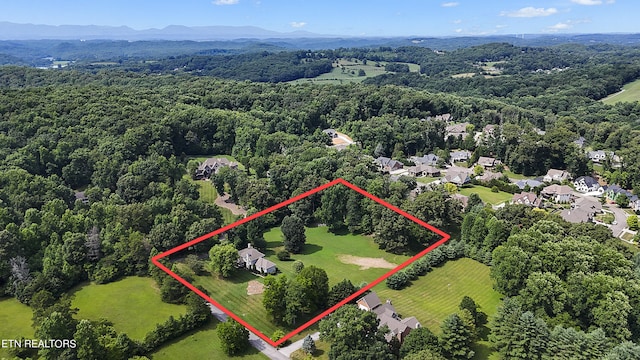 aerial view with a mountain view and a view of trees