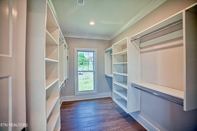 spacious closet with dark wood-style floors