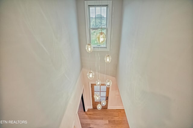 stairway featuring wood finished floors